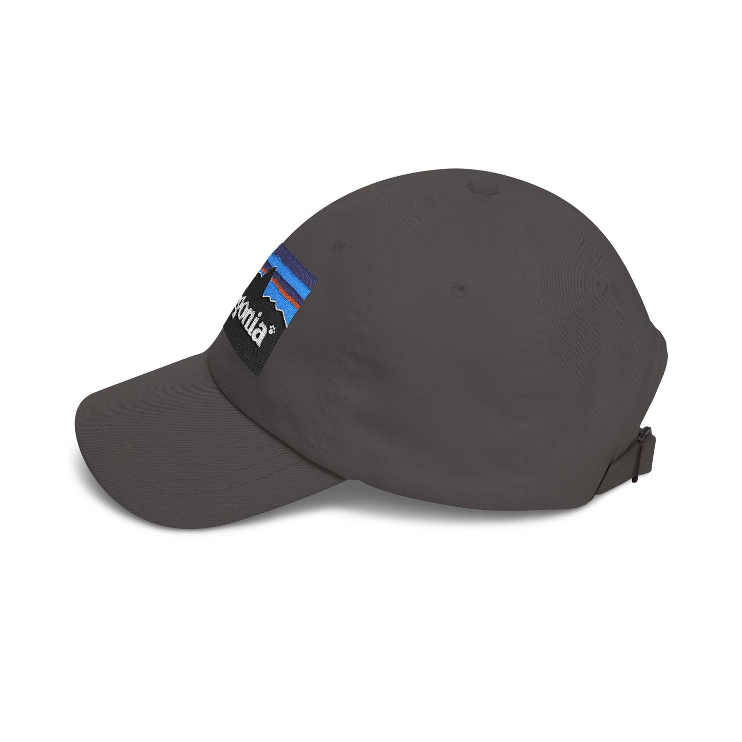 Catagonia Classic Dad Hat