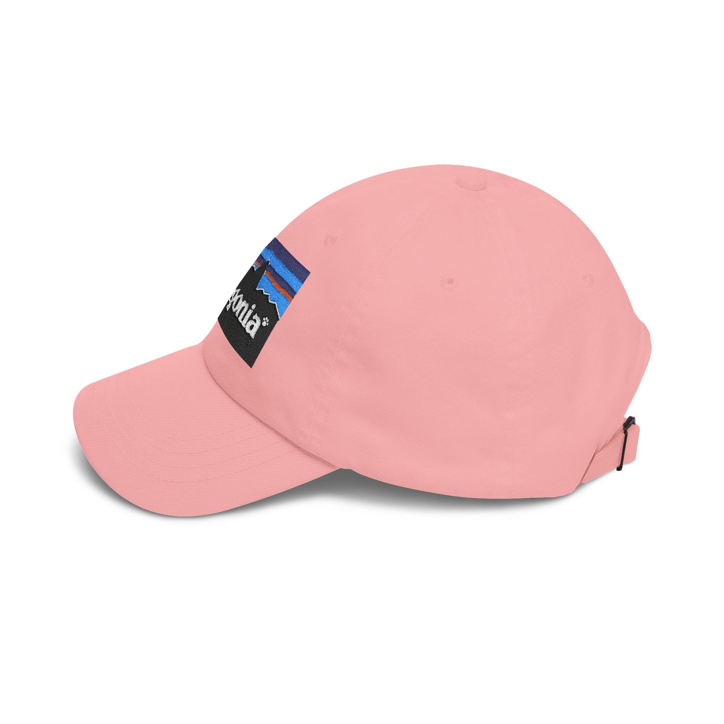 Catagonia Classic Dad Hat